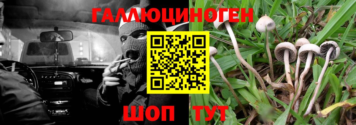 Псилоцибиновые грибы Magic Shrooms Надым